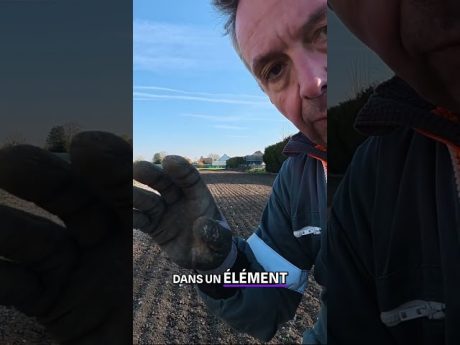 Labourer ou décompacter : telle est la question ! 🤔