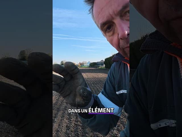 Labourer ou décompacter : telle est la question ! 🤔
