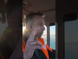 Un conflit de voisinage vraiment inutile… 😤