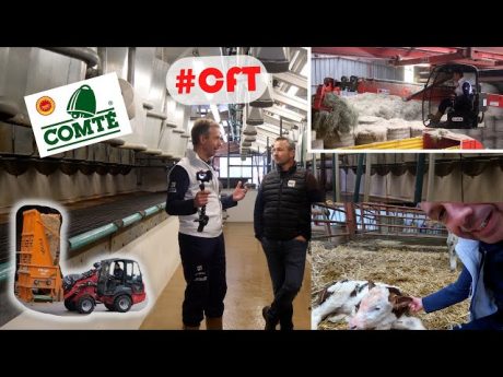 Production lait de comté, séchage en grange, une pailleuse verticale et la naissance de thierry #cft