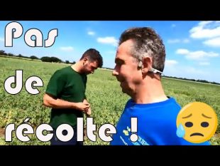 Mauvais temps : pas de récolte, pas de plantation :(