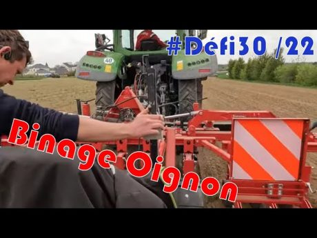 Binage des oignons bio #défi30 /22