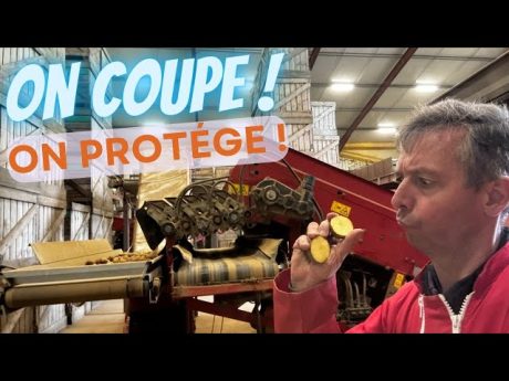 Deux jours compliqués… traitement, préparation de la plantation.