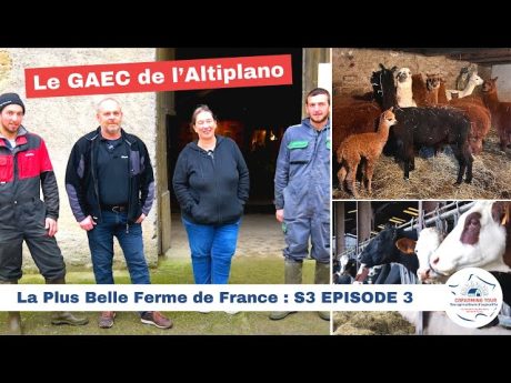 Le gaec de l&rsquo;altiplano ???????? la plus belle ferme de france