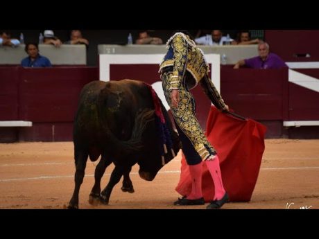 Discussion sur la corrida avec thomas qui est matador !