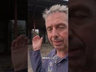 Estimation des pertes agricoles après l’incendie