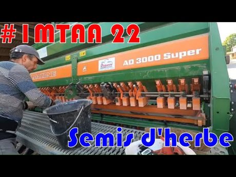 Semis d’herbe #imtaa 22