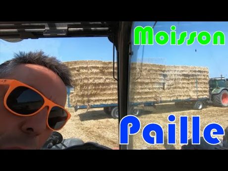 Moisson 2019 la paille