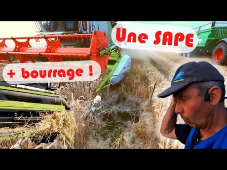 Début de moisson à risque…. et bourrage 🤬 #danslesbottes