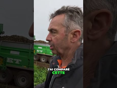 Nettoyage révolutionnaire : comment la machine transforme les betteraves #shorts