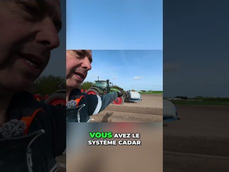 Le secret des plants de pommes de terre : germes parfaits et engrais ciblé #shorts