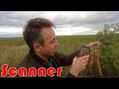 Un scanner pour mes carottes …