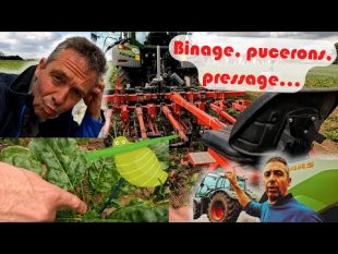 Binage, pucerons et reprise du pressage #vlog
