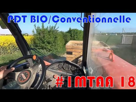 Différences bio/conventionnel : plantation pdt bio #imtaa episode 18