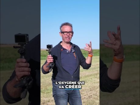 Enrubannage : la révolution du fourrage pour vos animaux #shorts