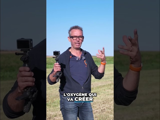 Enrubannage : la révolution du fourrage pour vos animaux #shorts