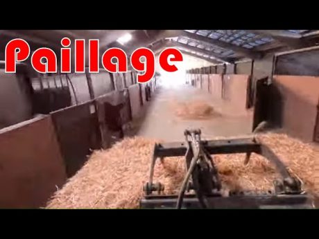 Paillage des écuries 🏇 en période de confinement 😷🏇