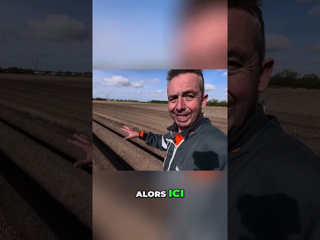 Secrets de buttes : la pomme de terre parfaite expliquée ! #shorts