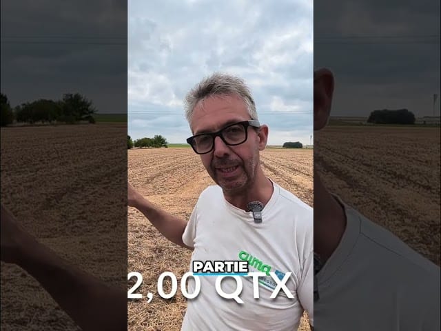 Moins de rendement sans biostimulant : les résultats choquants ! #shorts