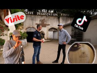 Rencontre avec Émile coddens, le vigneron sur tiktok #cofarmingtour