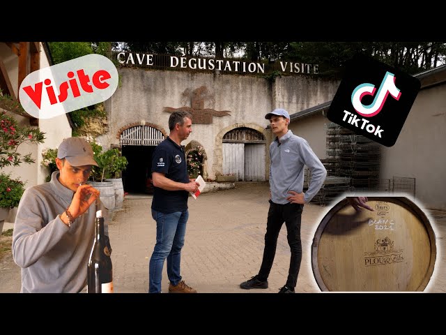 Rencontre avec Émile coddens, le vigneron sur tiktok #cofarmingtour