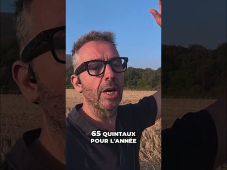Les rendements les plus décevants que j’ai eus… 👎