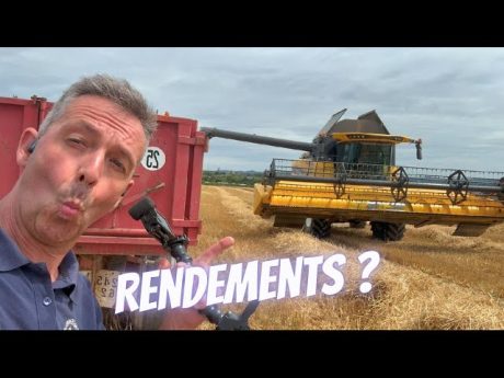 Moisson, premiers jour pour notre nouvelle batteuse ????