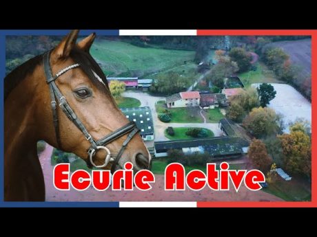 Je découvre ce qu’est une écurie active #cft 5