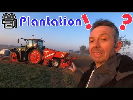 🎥 plantation des pommes de terre et petit calcul 🤔