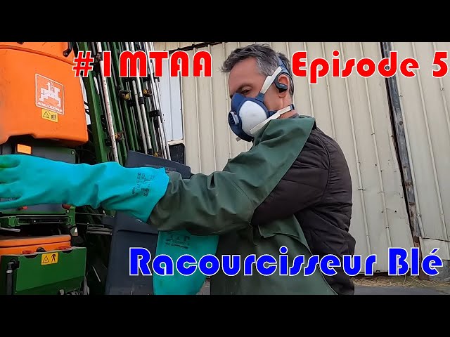 Racourcisseur blé #imtaa episode 5