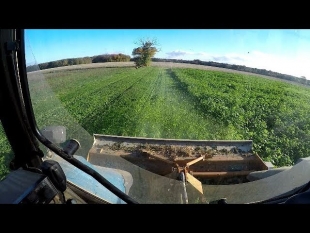 Broyage des couverts végétaux