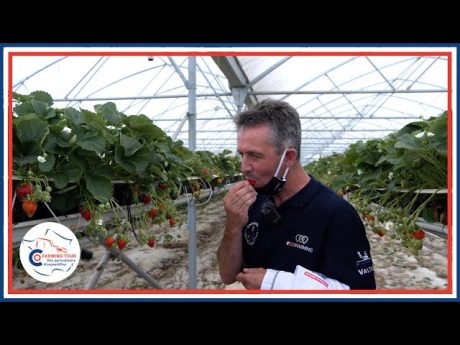 Je suis tombÉ dans les pommes !! #cft