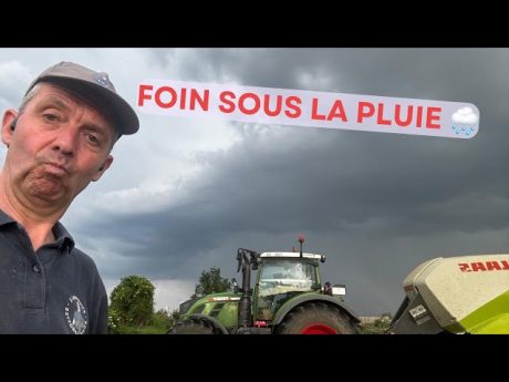 Première coupe de foin de l’année