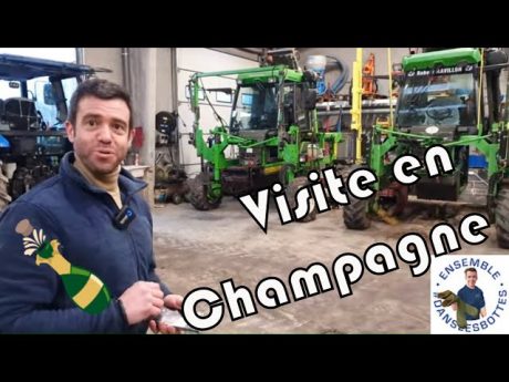 Visite en champagne 🍾 chez @david faivre – révélateur de terroir