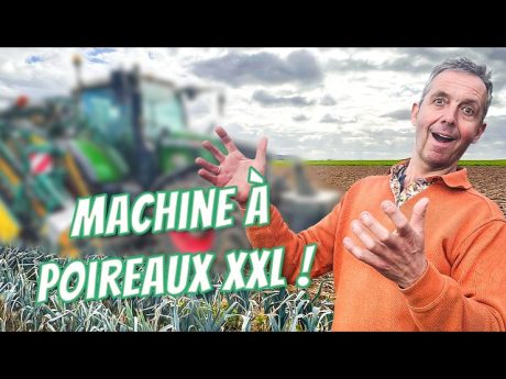 Pourquoi cette machine va changer la récolte des poireaux ?! 👀