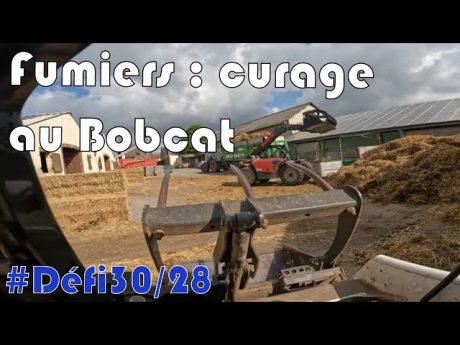 Curage des fumiers avec les bobcat #défi30 /28