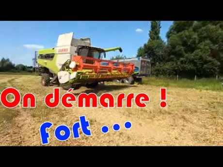 Début de moisson blé/pois 👉 petite surprise 👏