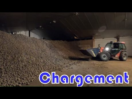 🎥 chargement des pommes de terre au manitou
