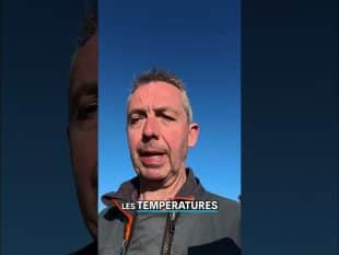 J’ai grillé des étapes pour le foin ?! 😬