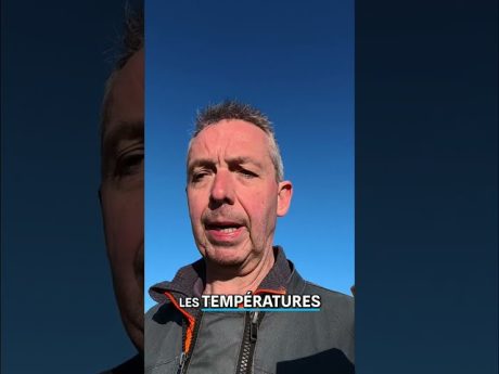 J’ai grillé des étapes pour le foin ?! 😬