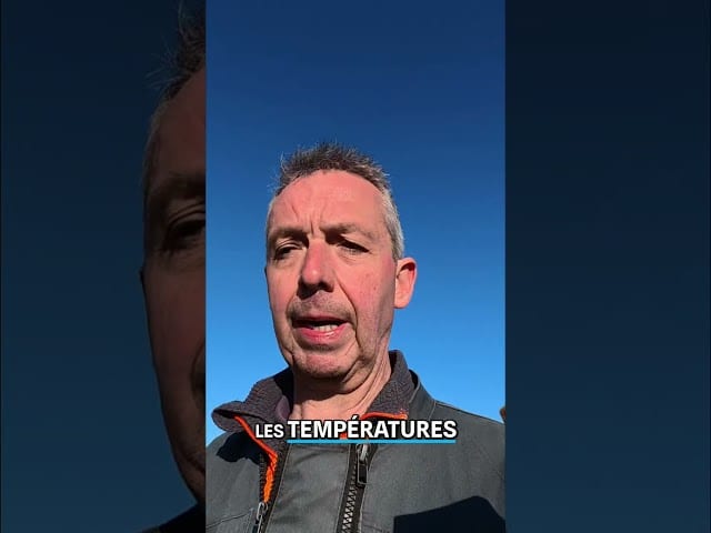 J’ai grillé des étapes pour le foin ?! 😬