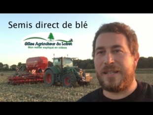 Semis direct blé après maïs (horsch avatar)