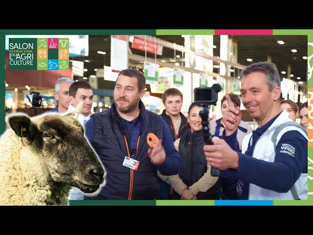 Le pire stagiaire : soins des moutons au salon immersion #cft1