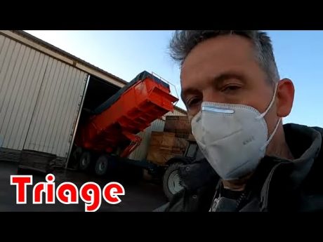 🔴 triage des oignons en cuma présentation de l’installation