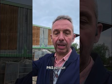 J’annonce un futur grand projet à la ferme ?! 😱