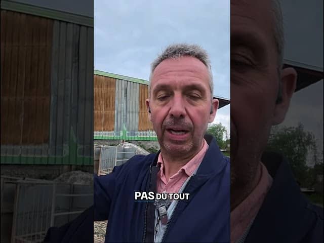 J’annonce un futur grand projet à la ferme ?! 😱