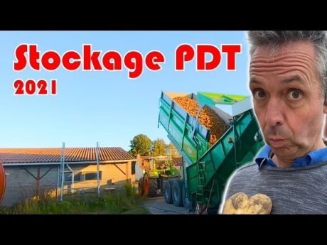 On stock les pommes de terre