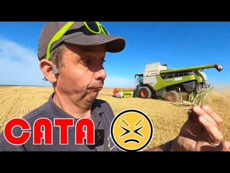 Une moisson d’orge cata 😒‼