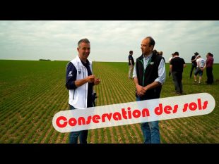 On parle agriculture de conservation avec le groupe sols en caux