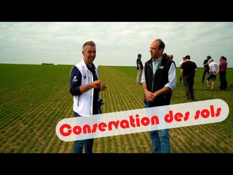 On parle agriculture de conservation avec le groupe sols en caux